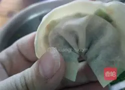 Illustration of how to make wontons 8