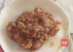 Lotus root and pork dumplings recipe 17