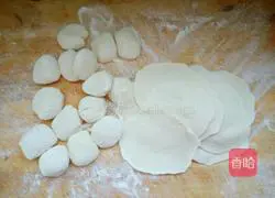 Illustration of how to make dumplings with four fresh fillings 6