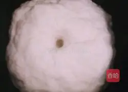 Illustration of how to make fancy steamed buns 2