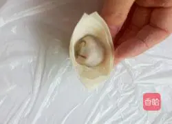 Illustration of how to make homemade pork wontons 5