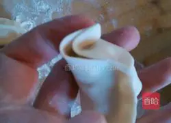 Illustration of how to wrap dumplings 7