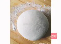 Illustration of how to make mushroom and beef dumplings 1