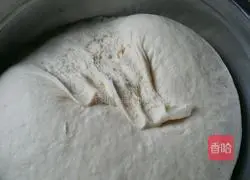 How to make zucchini meat buns Illustration 3