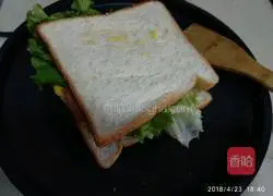 Illustration of homemade breakfast sandwich 16