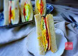 Illustration of making salami sausage sandwich 10