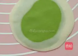 Fancy dumpling recipes 20