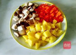 Illustration of braised pork, mushrooms and carrots with braised rice 2