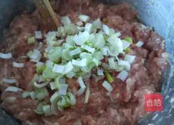 Pork and celery pie recipe 7