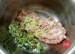 Bitter melon dumplings recipe 5