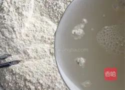 Illustration of making dumplings stuffed with radish shreds 11