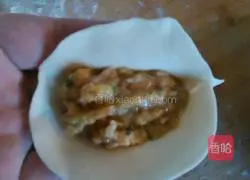 Dumplings Illustration of the wrapping method 3