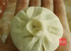 Illustration of how to make meat buns 17