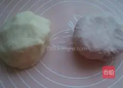 Illustration of making sophora dumplings 6