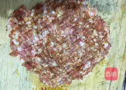 Illustration of how to make tofu and meat dumplings 2