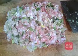 Pork and green onion dumplings.Recipe 2