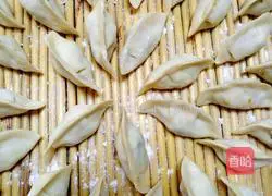 Exclusive vegetarian dumplings recipe 18