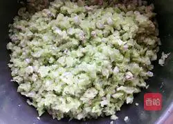 Illustration of how to make dumplings stuffed with pork and beans 3