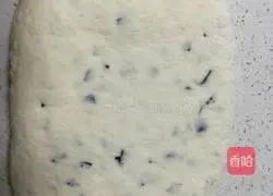 Steamed Candied Thousand Layers Illustration of how to make cakes 14