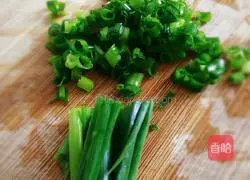 Carrot Egg Pancake Recipe Illustration 3