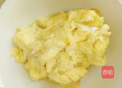 Assorted Fried Rice Recipe Illustration 5