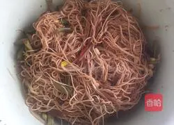 Illustration of how to make steamed beans and noodles 11