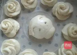White Rose Steamed Bun Recipe Illustration 17