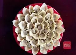 Illustration of how to wrap dumplings 11