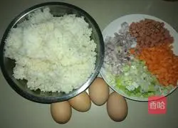 Assorted Fried Rice Recipe Illustration 1