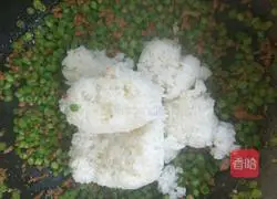 Illustration of how to make fried rice with beans and minced meat 7