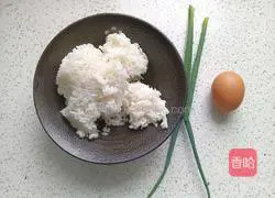 Egg Fried Rice Recipe Illustration 2