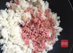 Colorful Fried Rice Recipe Illustration 5