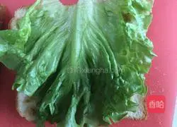 Illustration of how to make a sandwich 3