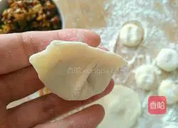 Illustration of how to make mushroom and chicken dumplings 11