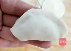 Illustration of how to make dumplings with leek and meat filling 11