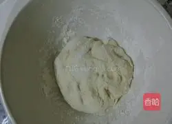 Illustration of how to make beef and cabbage stuffed dumplings 4