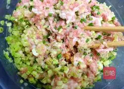 Pork and celery dumplings recipe 2