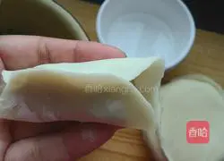 Illustration of how to make dumplings stuffed with chives and moss 5