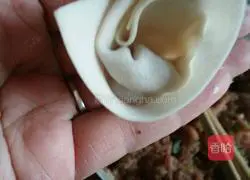 Illustration of how to make mushroom and shrimp wontons 6