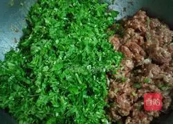 Illustration of Beef and Parsley Dumplings 7