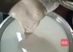 Tender corn jelly recipe 5