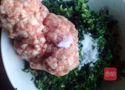 Illustration of how to make shepherd's purse wontons 5