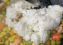 Assorted Egg Fried Rice Recipe Illustration 8