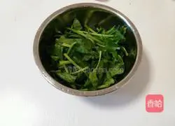 Spinach pancake recipe 1