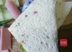 Illustration of how to make a sandwich 2