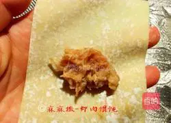 Illustration of how to make shrimp wontons 7
