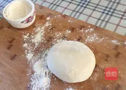 Dumpling Recipe Illustration 2