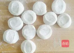 Lacey dumplings Practice illustration 4