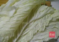 Pork and Corn Wonton Recipe Illustration 2