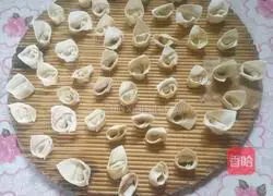 Pork Wonton Recipe Illustration 5